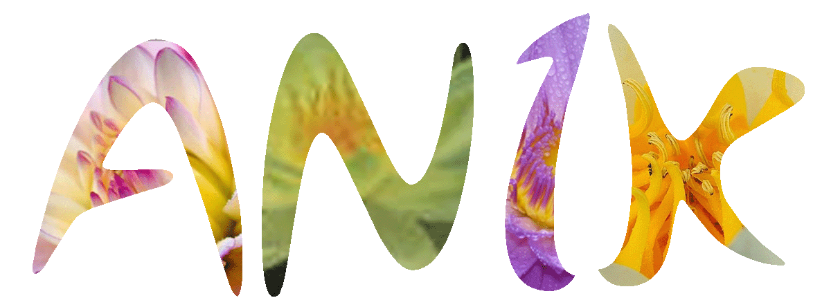 Image hébergée par Casimages.com : votre hébergeur d images simple et gratuit