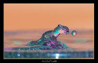 Hebergement gratuit d image et photo