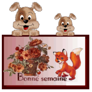 Image hébergée par Casimages.com : votre hébergeur d images simple et gratuit