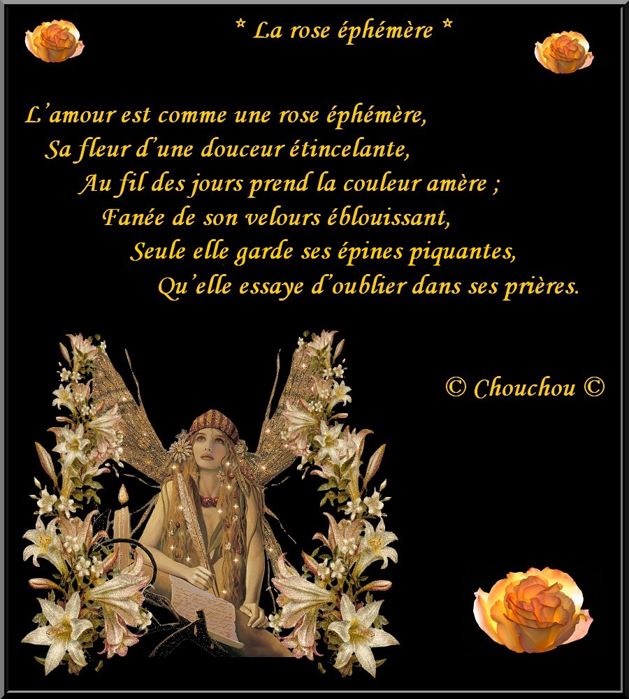 Image hébergée par Casimages.com : votre hébergeur d images simple et gratuit