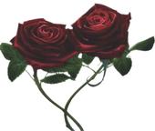 Image hberge par Casimages.com : votre hbergeur d images simple
et gratuit