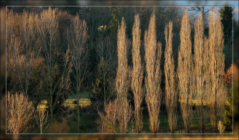 http://nsm01.casimages.com/img/2007/12/05//071205080932169621483127.jpg