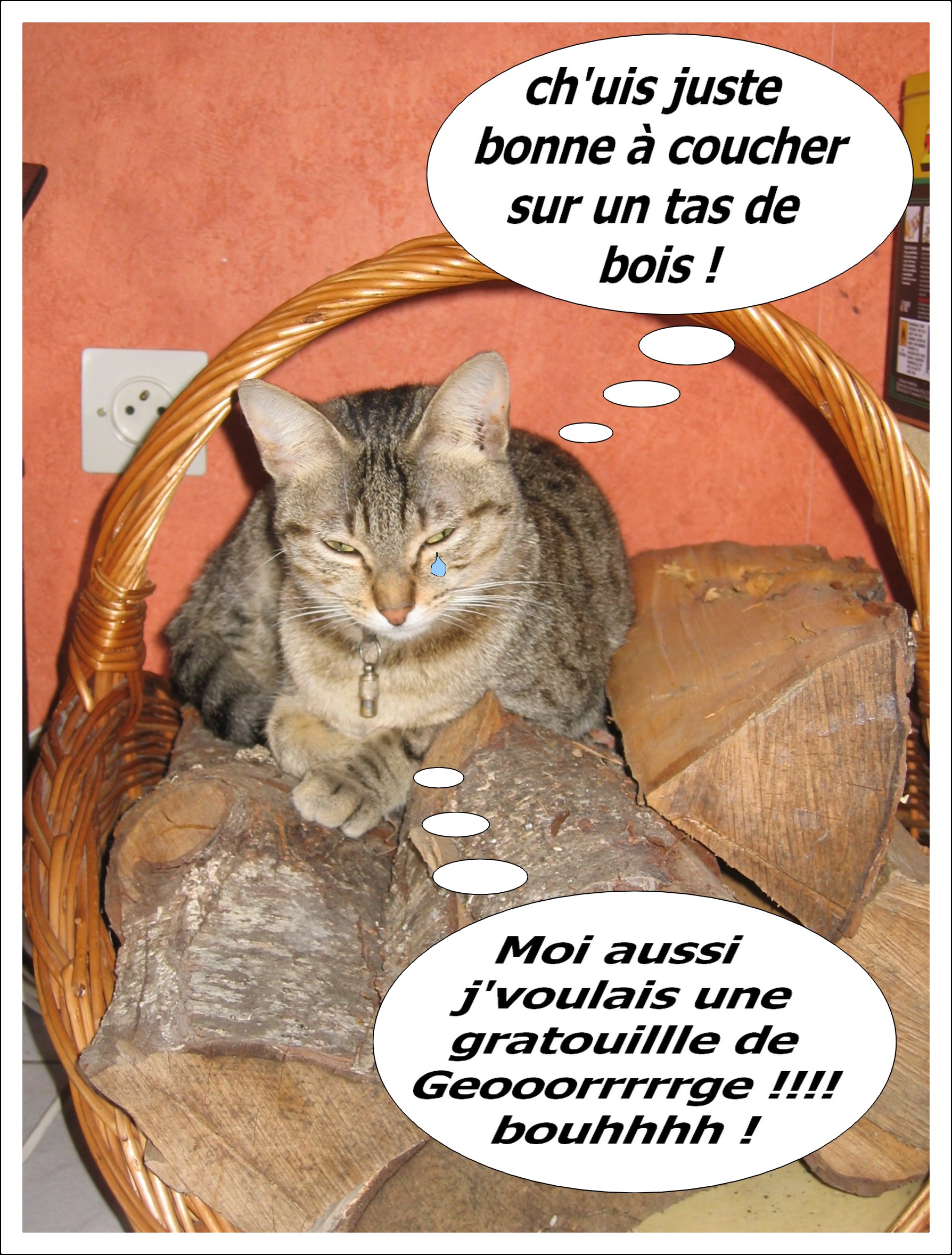 rencontre oo