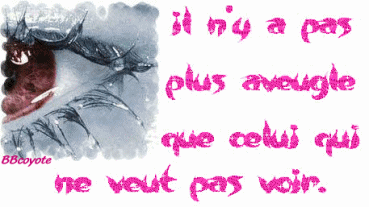 Image hébergée par Casimages.com : votre hébergeur d images simple et gratuit