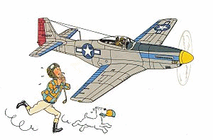 Image h�berg�e par Casimages.com : votre h�bergeur d images simple et gratuit