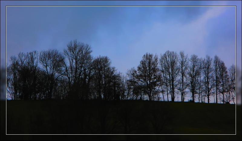 http://nsm01.casimages.com/img/2007/12/10//071210062256169621499276.jpg