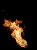 http://nsm01.casimages.com/img/2007/12/11/071211093554176971503202.gif