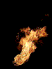http://nsm01.casimages.com/img/2007/12/11/071211100829176971503330.gif
