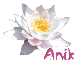 Image hébergée par Casimages.com : votre hébergeur d images simple et gratuit