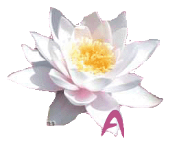 Image hébergée par Casimages.com : votre hébergeur d images simple et gratuit