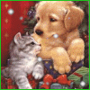 Image h&eacute;berg&eacute;e par Casimages.com : votre h&eacute;bergeur d images simple et gratuit