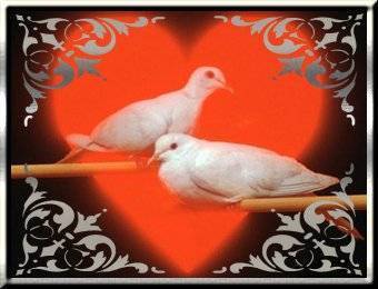 Image hébergée par Casimages.com : votre hébergeur d images simple et gratuit