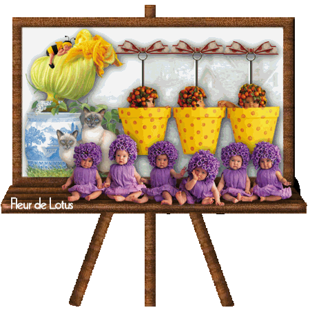 Image hébergée par Casimages.com : votre hébergeur d images simple et gratuit
