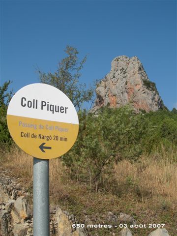 Agrandir l'image Coll Piquer - ES-L-0650 e