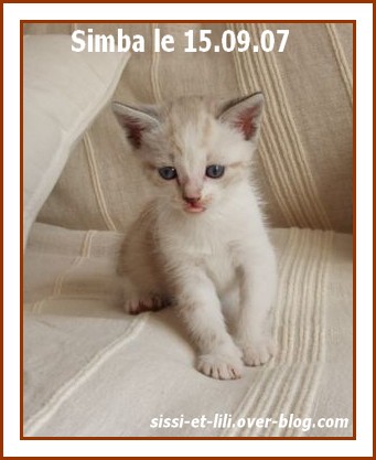 Image hébergée par Casimages.com : votre hébergeur d images simple et gratuit
