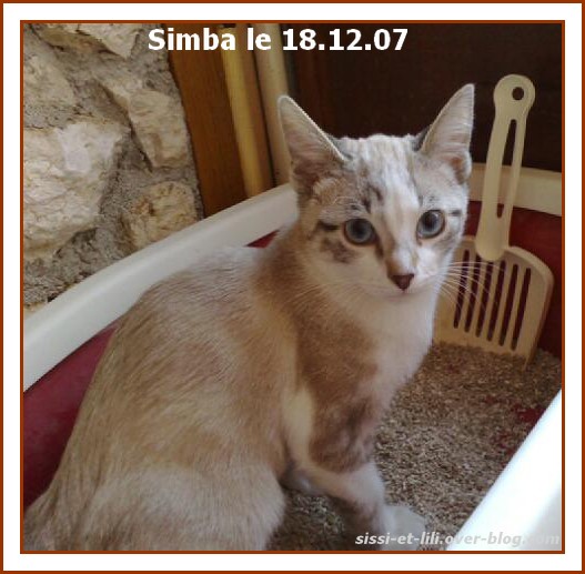Image hébergée par Casimages.com : votre hébergeur d images simple et gratuit