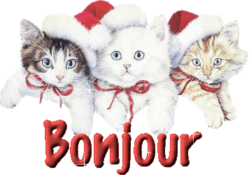 Image
hberge par Casimages.com : votre hbergeur d images simple et gratuit