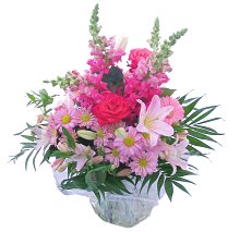 http://nsm01.casimages.com/img/2007/12/21//071221083408131521534612.jpg