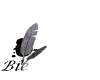 http://nsm01.casimages.com/img/2007/12/21//071221083659131521534622.gif
