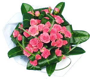 http://nsm01.casimages.com/img/2007/12/21//071221084427131521534650.jpg