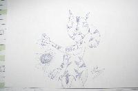 Hebergement gratuit d image et photo