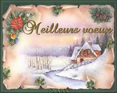 Carte Meilleurs voeux - Voir cette image en taille r�elle