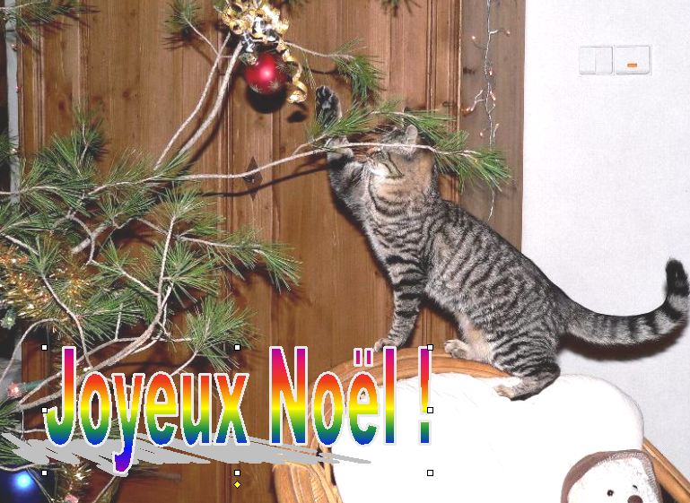 http://nsm01.casimages.com/img/2007/12/24//071224030904171381545110.jpg