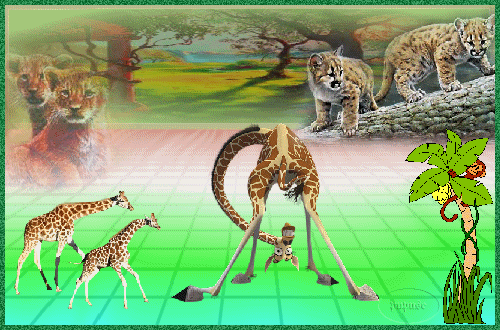 Image hébergée par Casimages.com : votre hébergeur d images simple et gratuit