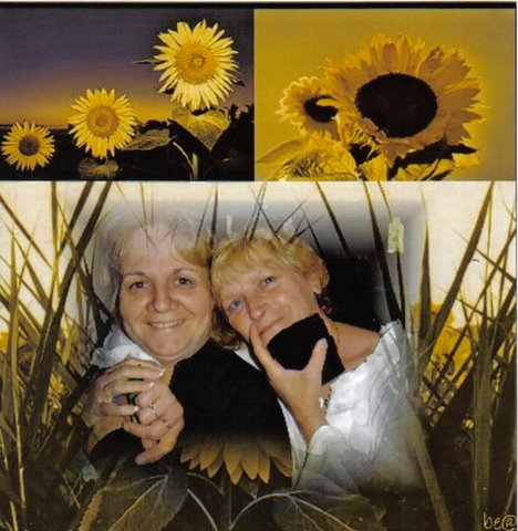 Image h�berg�e par Casimages.com : votre h�bergeur d images simple et gratuit