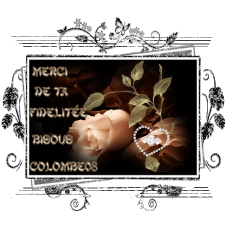 Image hébergée par Casimages.com : votre hébergeur d images simple et gratuit