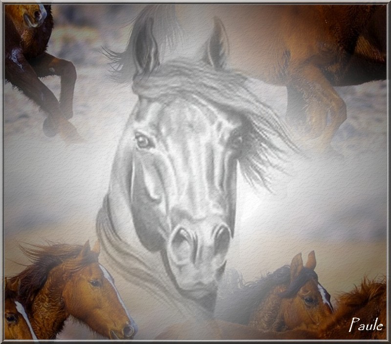 Image hébergée par Casimages.com : votre hébergeur d images simple et gratuit