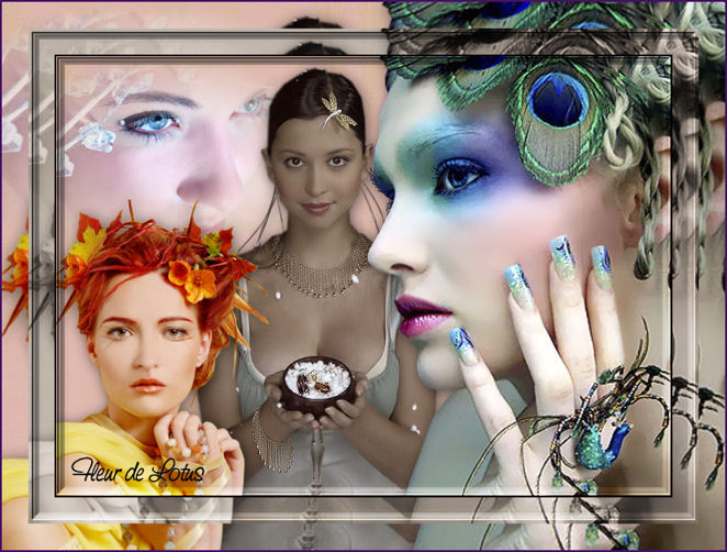 Image hébergée par Casimages.com : votre hébergeur d images simple et gratuit