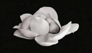 Image hébergée par Casimages.com : votre hébergeur d images simple et gratuit
