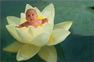 Image hébergée par Casimages.com : votre hébergeur d images simple et gratuit