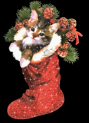 Image hberge par
Casimages.com : votre hbergeur d images simple et gratuit