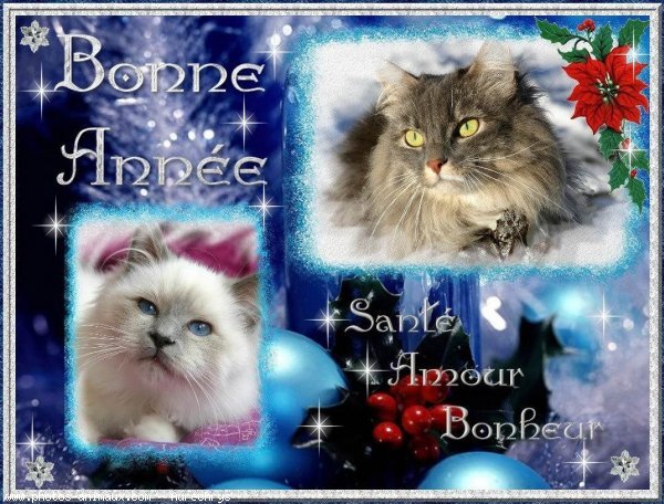 Image hébergée par Casimages.com : votre hébergeur d images simple et gratuit
