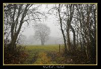Hebergement gratuit d image et photo