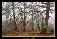 Hebergement gratuit d image et photo