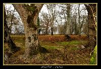 Hebergement gratuit d image et photo