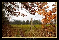 Hebergement gratuit d image et photo