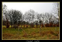 Hebergement gratuit d image et photo