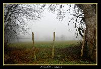 Hebergement gratuit d image et photo