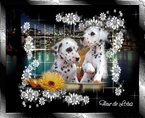 Image hébergée par Casimages.com : votre hébergeur d images simple et gratuit