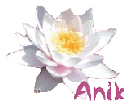 Image hébergée par Casimages.com : votre hébergeur d images simple et gratuit