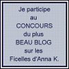 Concours du plus beau blog sur Les Ficelles d'Anna K