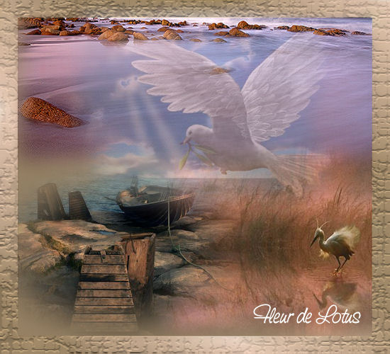 Image hébergée par Casimages.com : votre hébergeur d images simple et gratuit