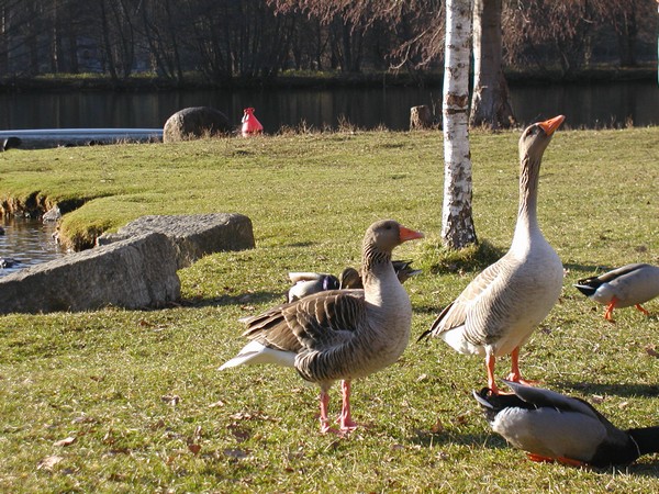Image hébergée par Casimages.com : votre hébergeur d images simple et gratuit