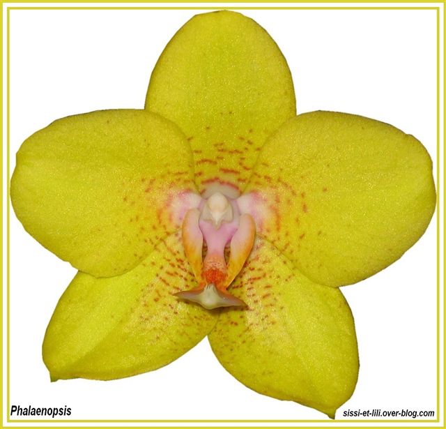 Image hébergée par Casimages.com : votre hébergeur d images simple et gratuit