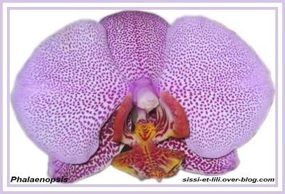Image hébergée par Casimages.com : votre hébergeur d images simple et gratuit