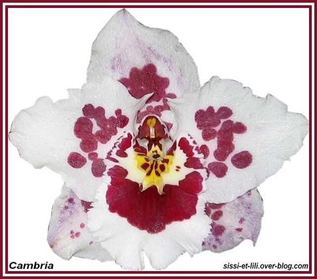 Image hébergée par Casimages.com : votre hébergeur d images simple et gratuit